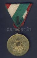 A Magyar Országos Tűzoltó Szövetség Szolgálati Érme aranyozott Br, szalaggal T:2