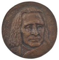 ~1970. "Liszt Ferenc 1811-1886" öntött bronz emlékérem hátoldalán akasztóval. Szign.: MK(?) (~100mm) T:XF