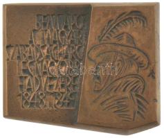 Lengyelország 1979. "Bem apó a magyar szabadságharc legnagyobb hadvezére 1848-1849" bronz plakett magyar és lengyel nyelvű felirattal (100x112mm) T:XF patina Poland 1979. "Jozef Bem 1848-1849" bronze plaque in Hungarian and Polish (100x112mm) C:XF patina