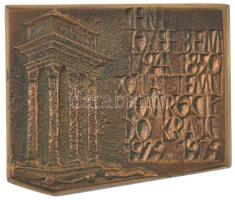 Lengyelország 1979. "Bem apó a magyar szabadságharc legnagyobb hadvezére 1848-1849" bronz ...