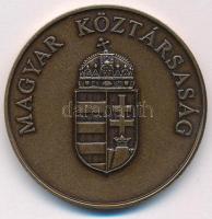 2006. "Nemzetbiztonsági Szakszolgálat 1996-2006 / Magyar Köztársaság" bronz emlékérem (42,...
