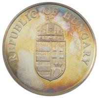 1990. "Special Service for National Security (Nemzetbiztonsági Hivatal) / Republic of Hungary&q...