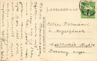 1915 Nyékvárkony, Várkony, Vrakún; Pfeiffer kastély. Biró Pál kiadása / castle (EK)