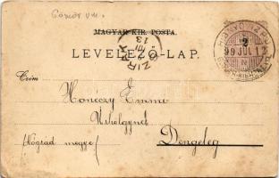 1899 (Vorläufer) Hizsnyó, Hisnyóvíz, Chyzné (Gömör-Kis-Hont); vasgyár / iron works, factory (EB)