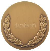 Franciaország DN "Igazságügyi rendőrség irányítása - Párizs" kétoldalas bronz emlékérem (7...