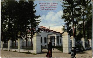 1917 Vukovár, Vukovar; Ljetnikovac Grofa Eltza / Gräfl. Eltz'sche Villa (EK)