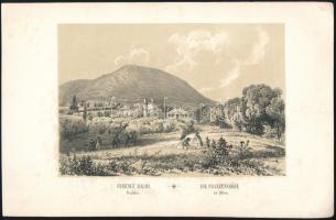 cca 1840 J. Alt: Ferenchalma Budán litográfia / Lithography 18,5x12,5 cm