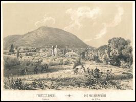 cca 1840 J. Alt: Ferenchalma Budán litográfia / Lithography 18,5x12,5 cm