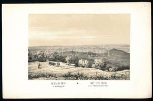 cca 1840 J. Alt: Buda és Pest a Svábhegyről. litográfia / Lithography 18,5x12,5 cm