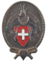 Svájc 1947. "SAC CAS" ezüstözött, zománcozott bronz jelvény (38x28mm) T:XF zománchiba Switzerland 1947. "SAC CAS" silver plated, enamelled bronze badge (38x28mm) C:XF enamel error