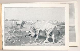 Debrecen, Déri Múzeum. Tiszántúli könyv- és Lapkiadó rt. Debrecen 1930. - képeslap füzet 12 folklór ...