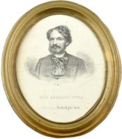 Gróf Andrássy Gyula (1823-1890) portréja. Litográfia, papír, jelzés nélkül. Nyomt. Pollák Testvérek Pesten, 1866. Körbevágva. 23x19 cm. Üvegezett, ovális, fém borítású antik fakeretben.