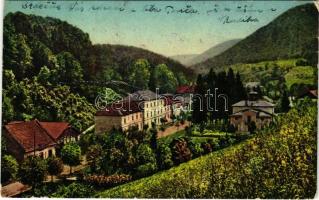 1928 Vihnye, Vihnyefürdő, Kúpele Vyhne; gyógyfürdő / general view, spa (fa)