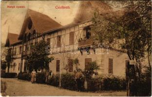 1910 Csíz, Csízfürdő, Kúpele Cíz; Margit nyaraló / villa, spa (EK)