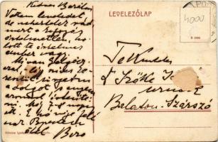 Temetvény, Hrádok (Pöstyén, Piestany); Temetvény vár. Schulz Ignác kiadása / Hrad Tematín / castle r...