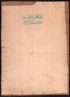 cca 1890 Trieszt látképe, nagyméretű, kartonra kasírozott fotó, A. Godard jelzéssel, kissé foltos, 1...