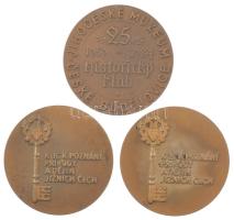 Csehszlovákia 1977. "A Dél-Cseh Múzeum alapításának 100. évfordulójára, České Budějovice" ...