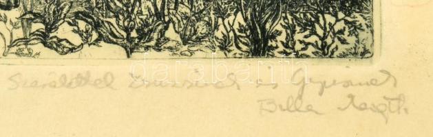 Balla Margit (1947-): "Napéjegyenlőség. Rézkarc, papír, jelzett, Balla Margit autográf ajándéko...