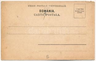 Braila, Padurea Seculara, Statia Ilie Radu / forest (b)