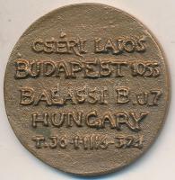 Cséri Lajos (1928-2020) öntött bronz névjegyérme (36mm) T:AU