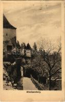 1918 Segesvár, Schässburg, Sighisoara; Altschaessburg / óváros. Fritz Teutsch kiadása / old town (EK)