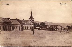 Tövis, Teius; utca részlet, Ábrahám testvérek üzlete. Vasúti levelezőlapárusítás 1189. / street view, shops (EK)