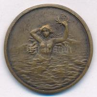 ~1900. "Balatoni Úszók Egyesülete 1900" kétoldalas bronz emlékérem, hátoldala hableány mot...