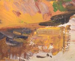 Bánfi jelzéssel: Rába partján. Olaj, farost. Fakeretben. 22x22 cm