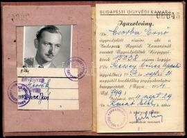 1954 Ügyvédjelölti arcképes igazolvány + Ügyvédi kamara tevényenységi kimutatás ügyvédjelölt részére