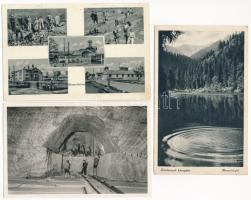 15 db RÉGI kárpátaljai város képeslap vegyes minőségben: gyárak, bányák, fürdők / 15 pre-1945 Transc...