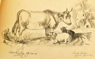 1895 Leskó Béla Malom, állatok, tanya 5 db életkép. Ceruza. papír. Jelzett 37x26 cm