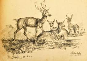 1895 Leskó Béla Malom, állatok, tanya 5 db életkép. Ceruza. papír. Jelzett 37x26 cm