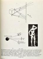 Király Sándor: Általános színtan és látáselmélet. Kézirat. Magyar Iparművészeti Főiskola. Bp., 1994....