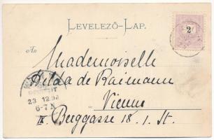 1898 (Vorläufer) Bük (?), kastély belső (EK)