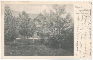 1906 Szamosfő, Maguri; Magurai nyaralótelep, Gróf Vass villa / holiday resort, villa (EK)