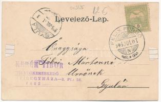 1905 Félixfürdő, Baile Felix; Hőforrás / izvor cald / spa, hot water spring (EK)