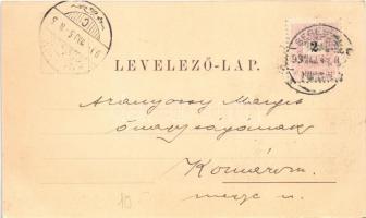 1899 (Vorläufer) Segesvár, Schässburg, Sighisoara; megyeház / county hall