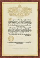 1928 Emléklap, Országos Magyar Hadimuzeum Egyesület, üvegezett keretben, 34x23 cm