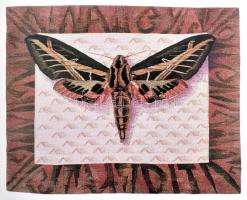 Dvorszky Hedvig: Nagy Judit. Bp., 2014., Press Xpress Kiadó, 126+2 p. Nagy Judit (1954-) goblein, és...