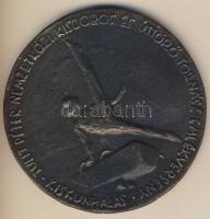 DN "Tulit Péter Nemzetközi Kisdobos és Úttörő Tornász Emlékverseny, Kiskunhalas" extrém na...