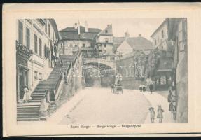 cca 1918 Nagyszeben (Erdély), 12 oldalas leporelló füzet korabeli képeslapok fénynyomataival, szép á...