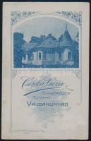 cca 1890 Fiatal lány portréja, keményhátú fotó Csonka Géza vajdahunyadi műterméből, hátoldalon a műt...