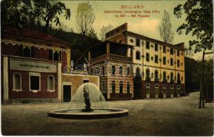 Belluno, Stabilimento Idroterapico Vena d'Oro / spa, bath (EK)