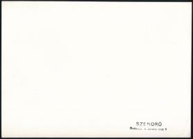 1945 Szendrő István (1908-2000): Budapest, Tabán, szétlőtt rác templom, pecséttel jelzett fotó, 16,5...