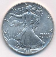 Amerikai Egyesült Államok 1989. 1$ Ag "Ezüst Sas" T:UNC kis patina
USA 1989. 1 Dollar Ag ...