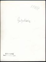 cca 1930-1940 Szendrő István (1908-2000): Galgahévíz, nők népviseletben, pecséttel jelzett fotó, 23,...