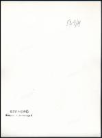 cca 1930-1940 Szendrő István (1908-2000): Balatoni vitorlásverseny, férfi horogkeresztes jelvénnyel,...