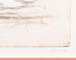 Olexa József (1960-): Dunai sziget. Rézkarc, papír, jelzett, egyszeri nyomat, üvegezett keretben, 20...