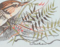 Cash's Woven Pictures angol hímzett selyemkép, jelzett, paszpartuban, üvegezett fakeretben, hát...