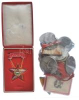 26db-os vegyes szocialista kitüntetés és sport díjérem tétel, több darab eredeti tokjában illetve me...